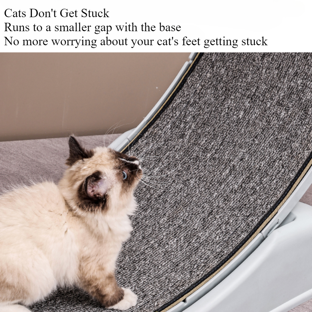 Treadmill for cats