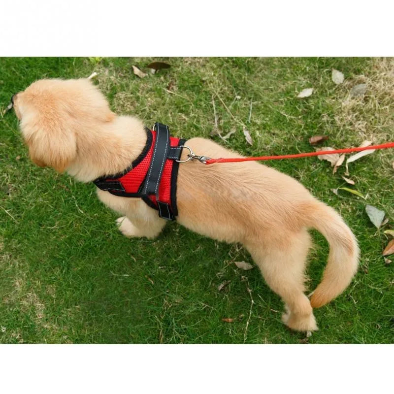 Dog Harness Vest