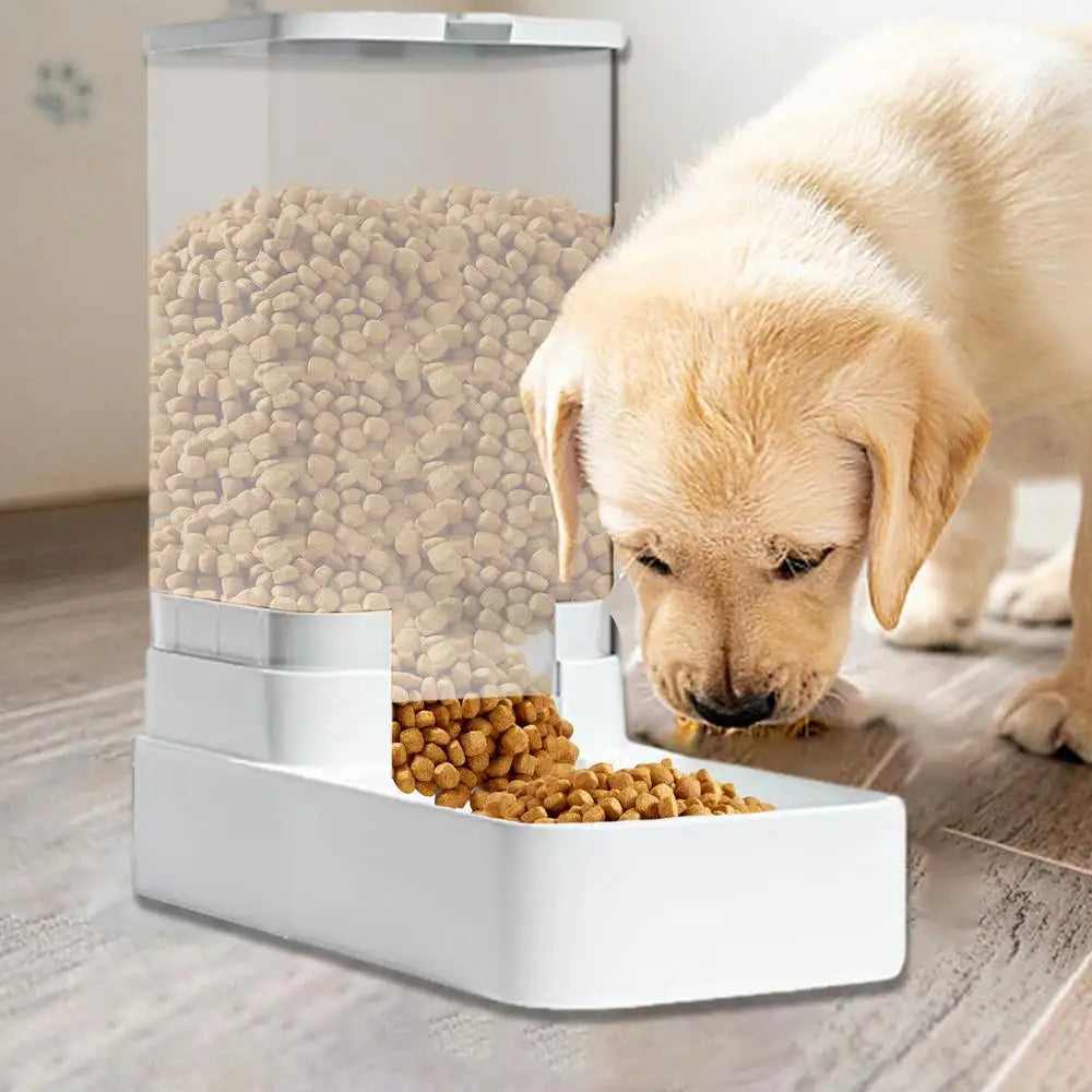 Dog And Cat Automatic Feeding Water Bowl