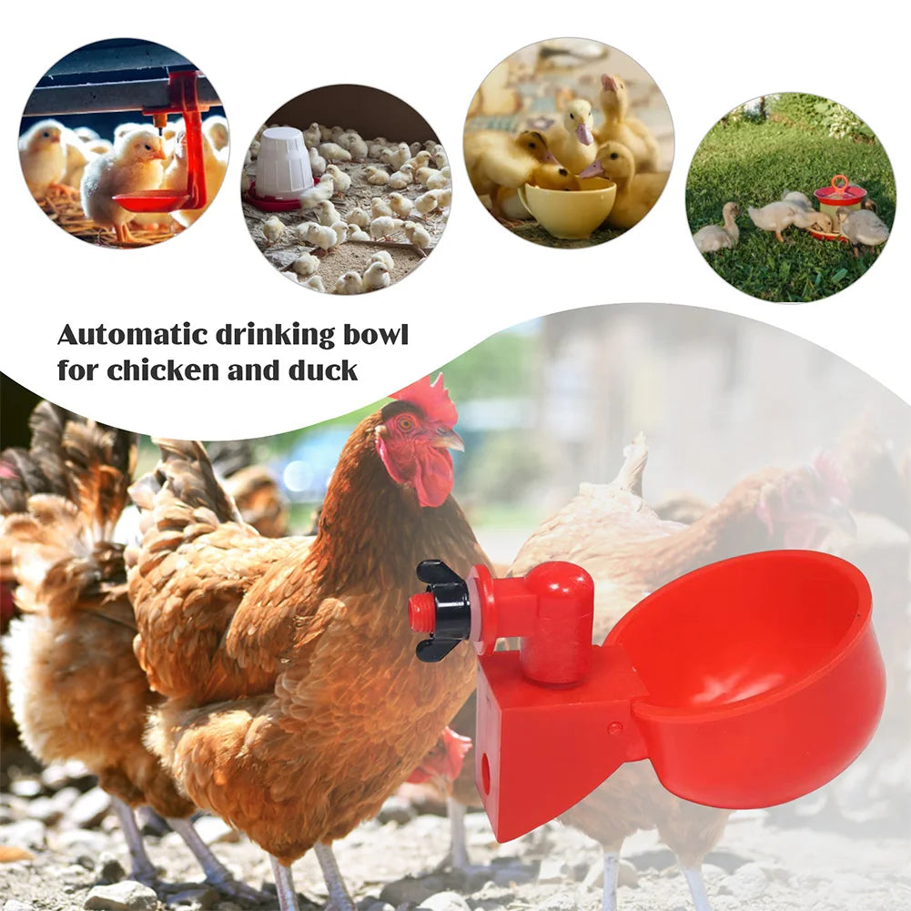 6-48pcs Chicken Drinking Cup, Automatic