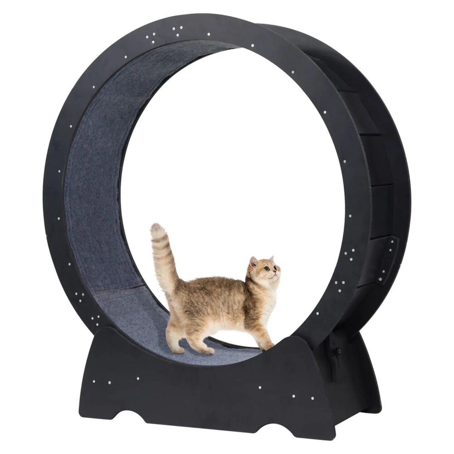 Wooden, Large Cat Exercise Wheel