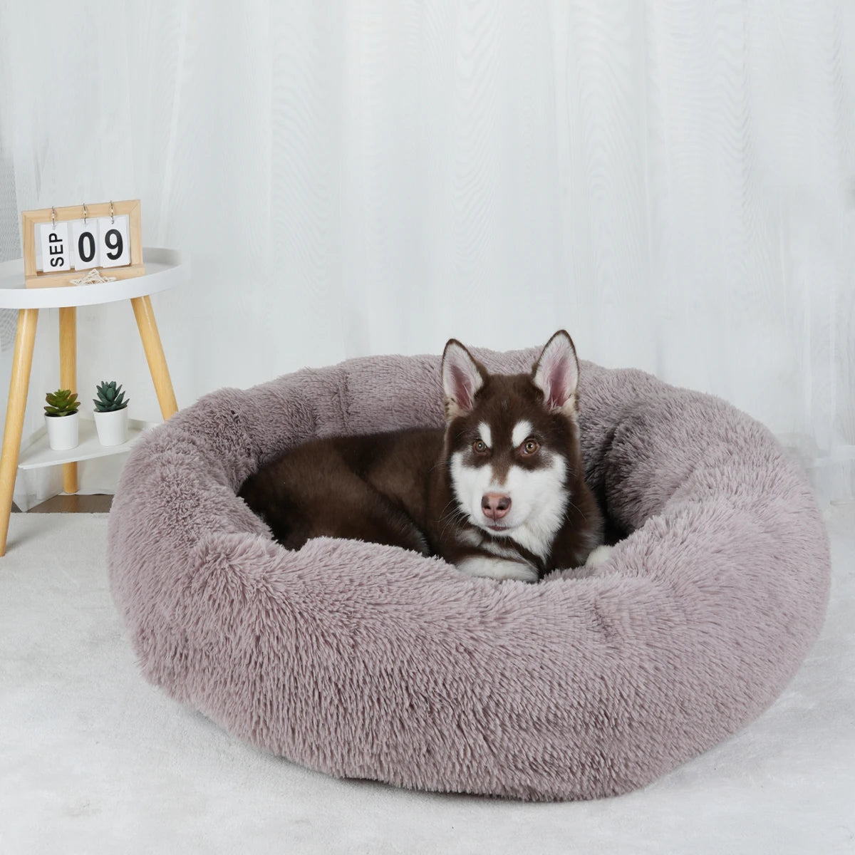 Large Round Basket Plush Beds for Dogs