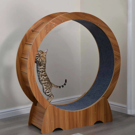 Wooden, Large Cat Exercise Wheel