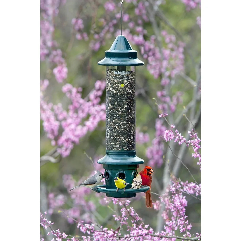 Bird Feeder