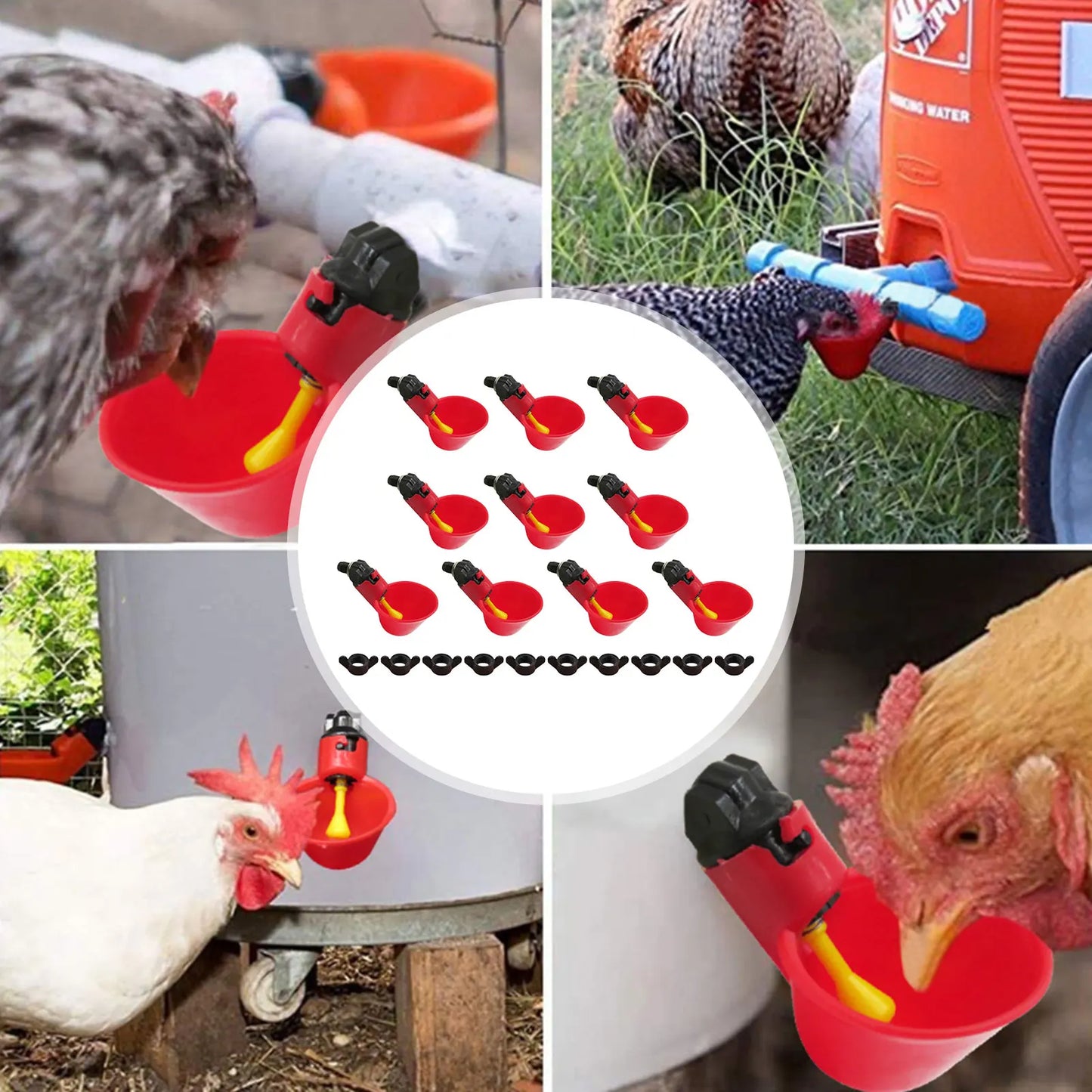 10-PCS Chicken Water Cups