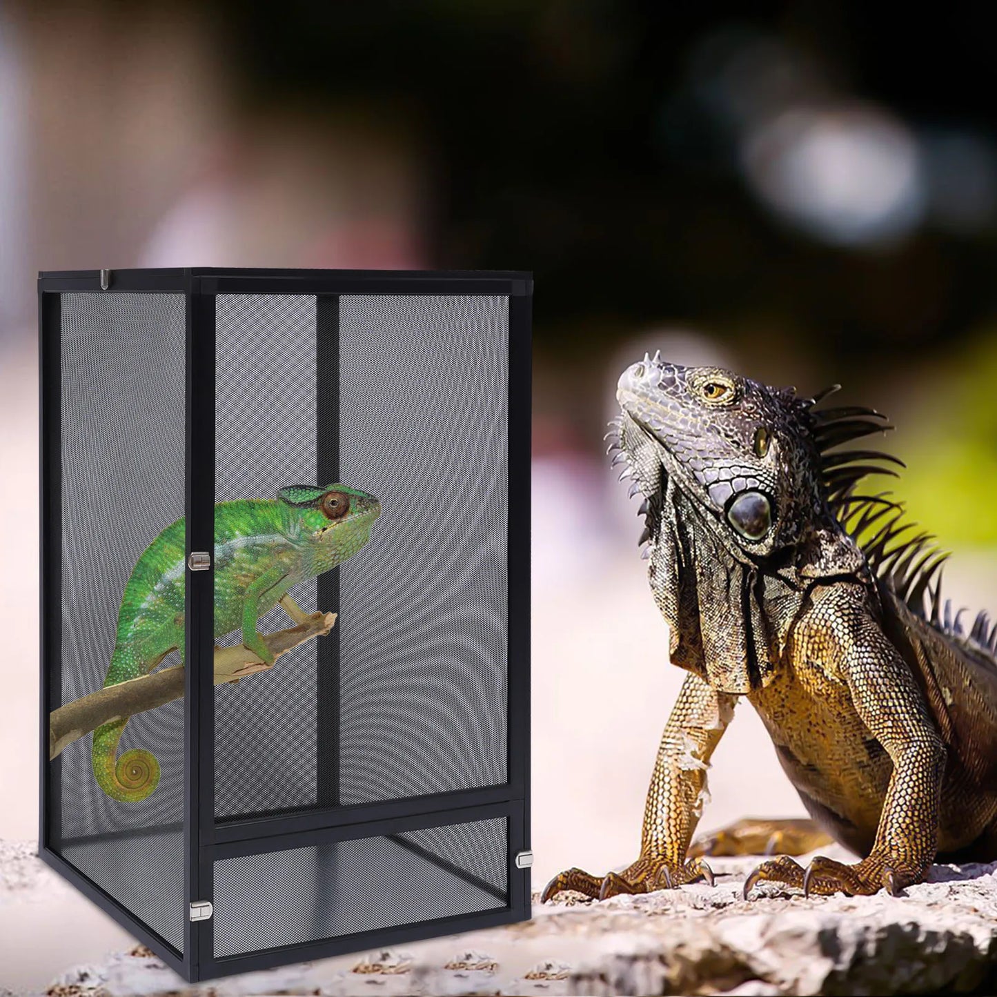 Amphibian Breeding Box Reptile Feeding tank