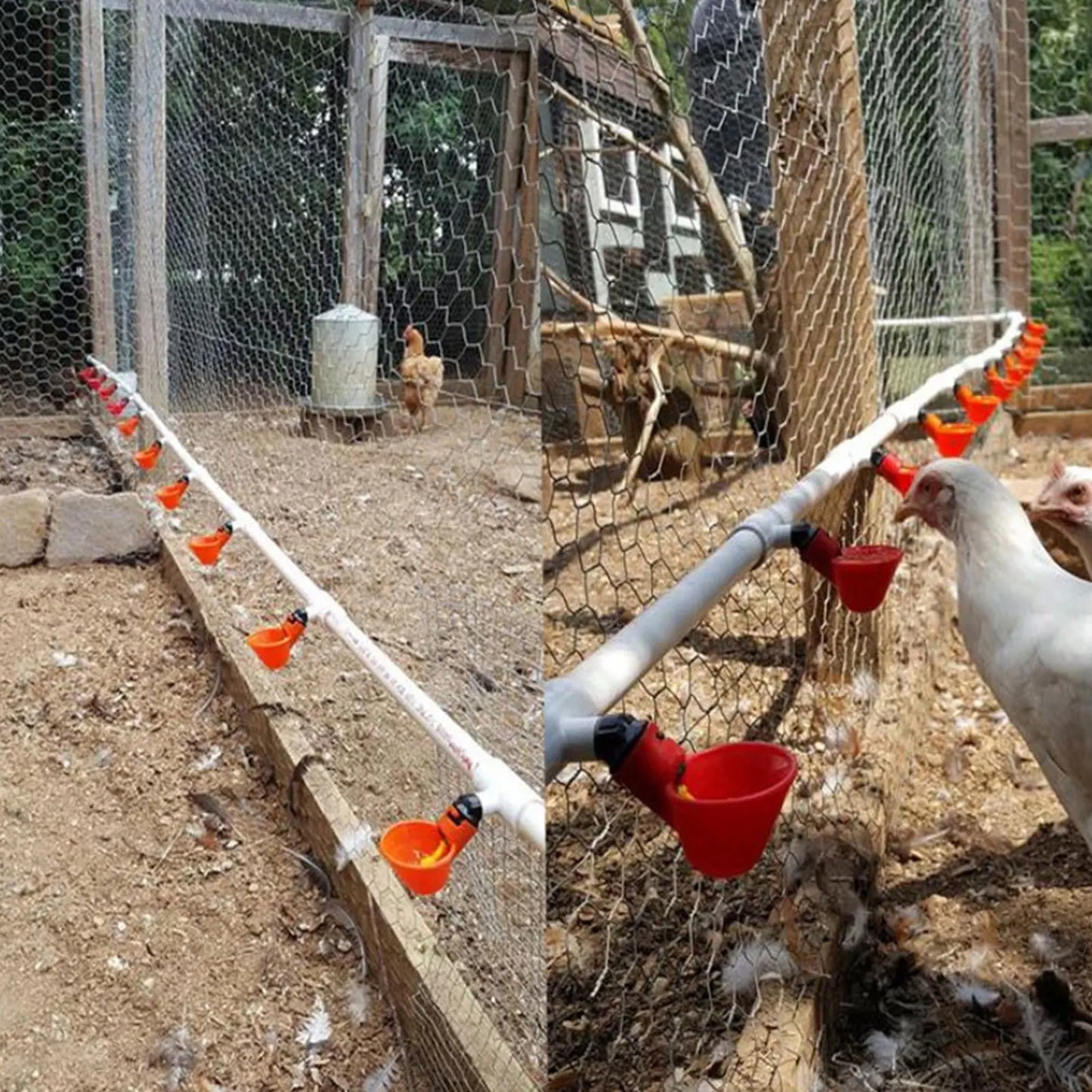 10-PCS Chicken Water Cups