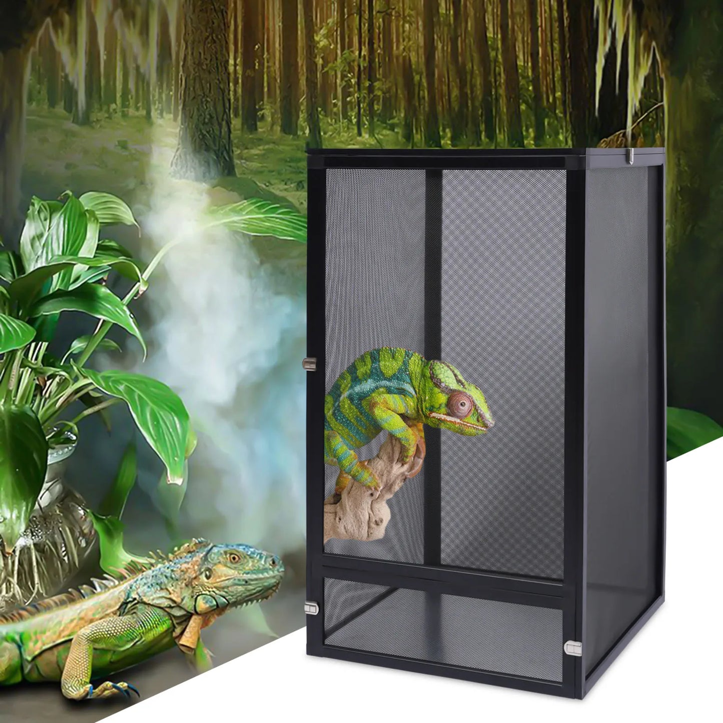 Amphibian Breeding Box Reptile Feeding tank