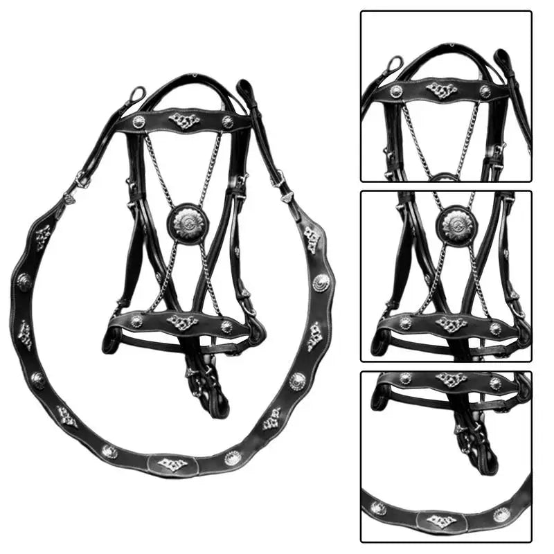 Riding Horse Bridle