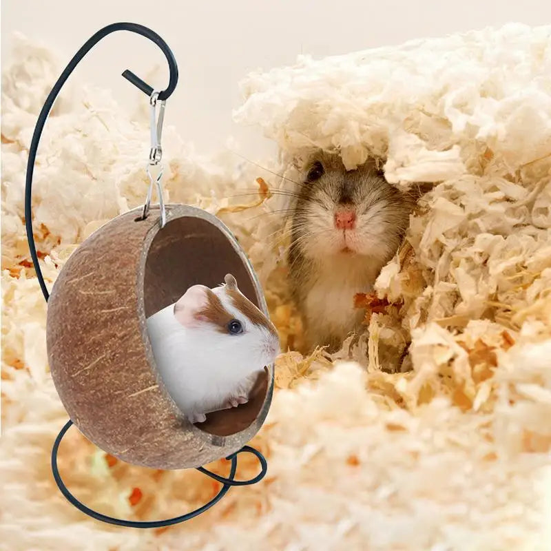 Hamster Coconut Hideout