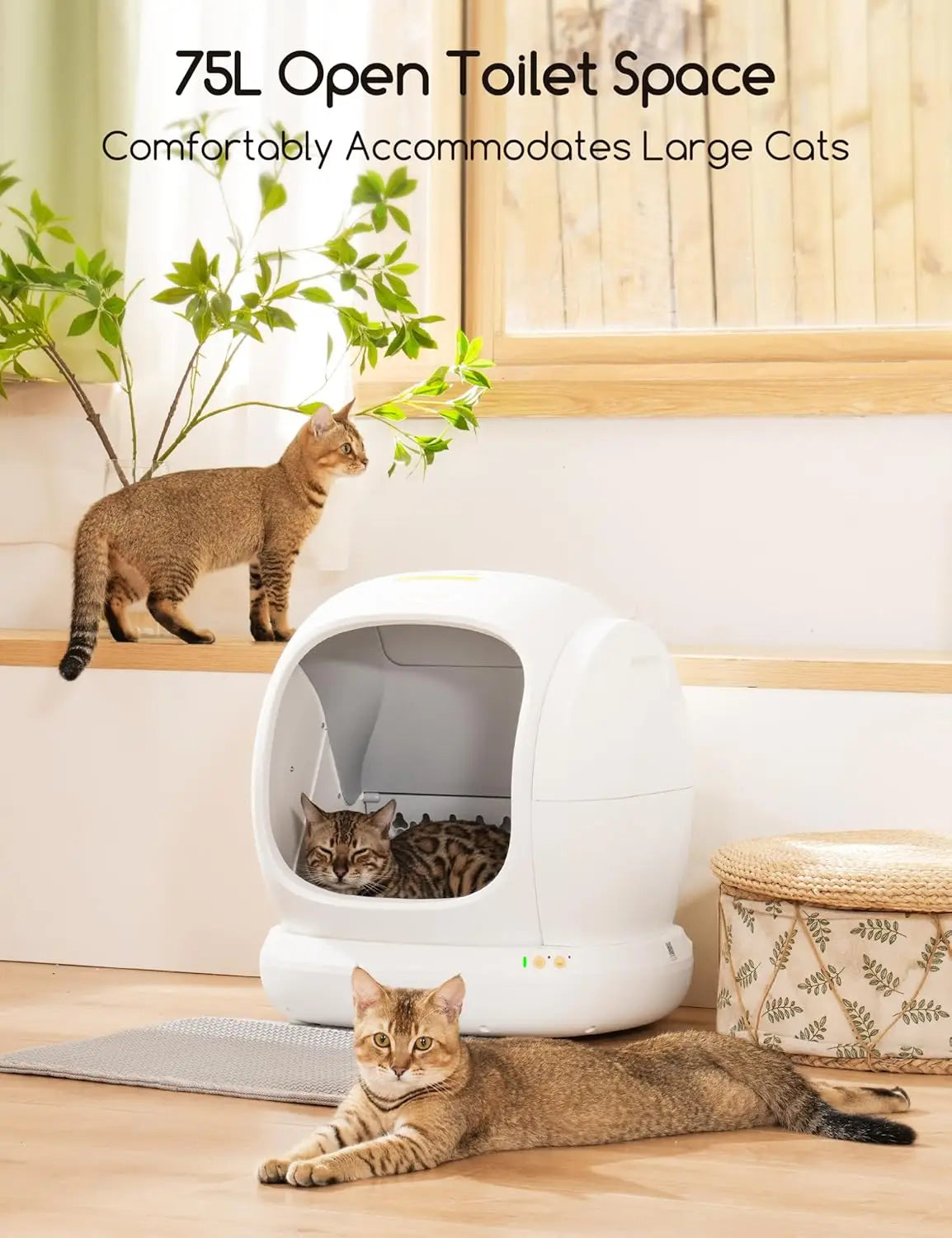 Self Cleaning Cat Litter Box