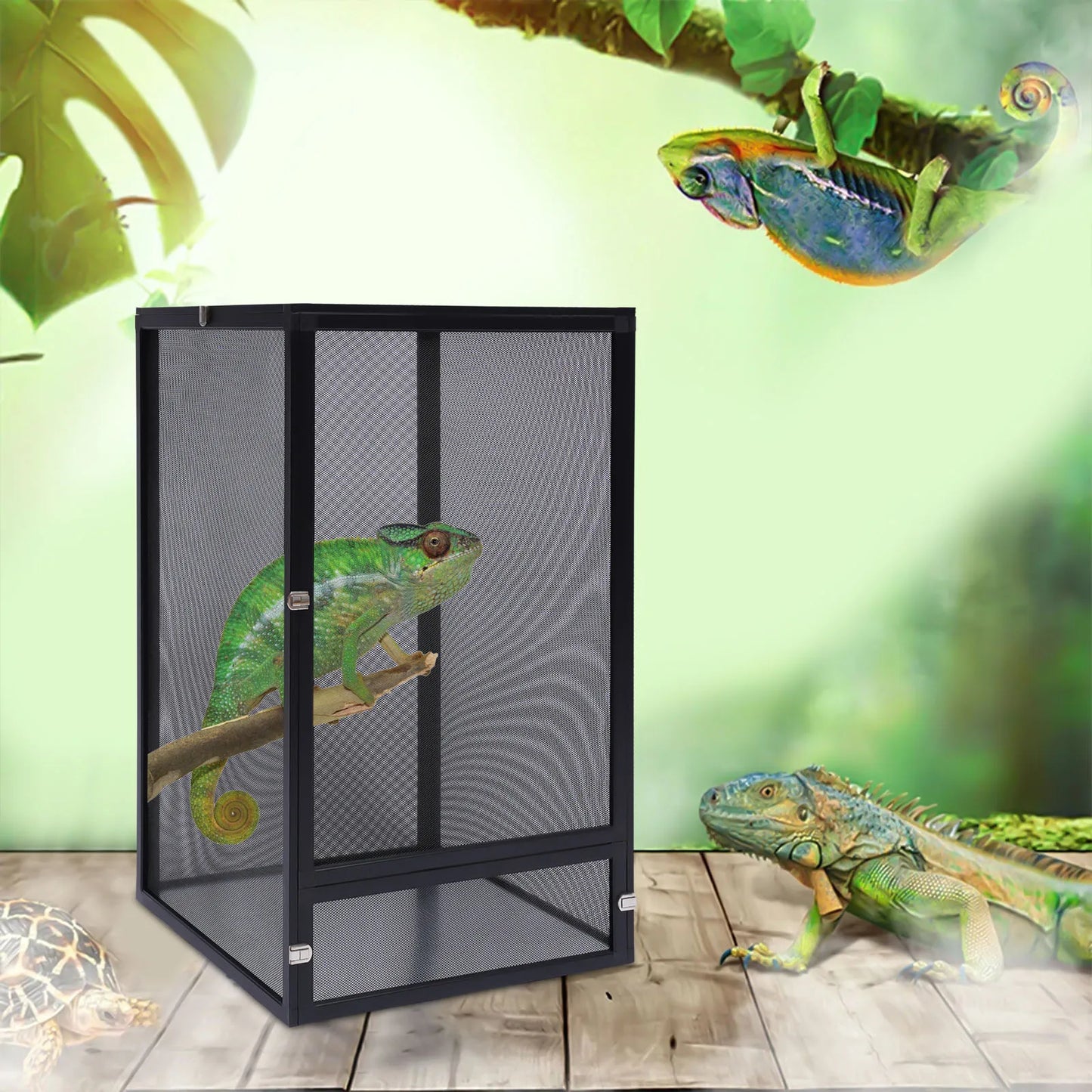 Amphibian Breeding Box Reptile Feeding tank