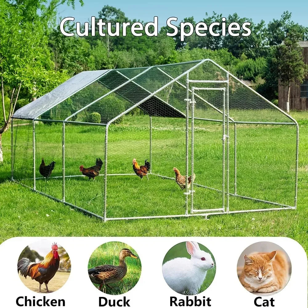 Walk-in Poultry Chicken Coops for 10 Chickens