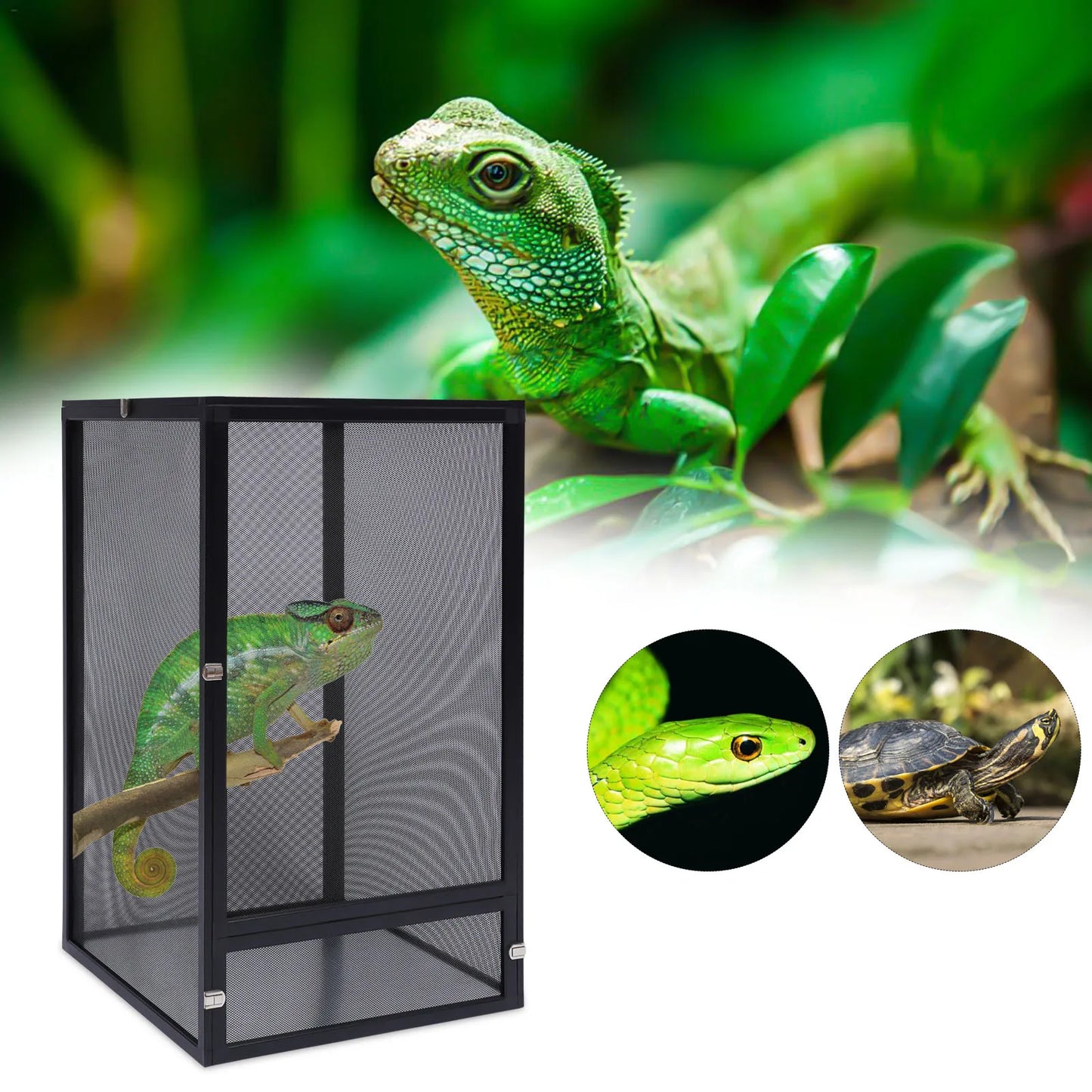 Amphibian Breeding Box Reptile Feeding tank