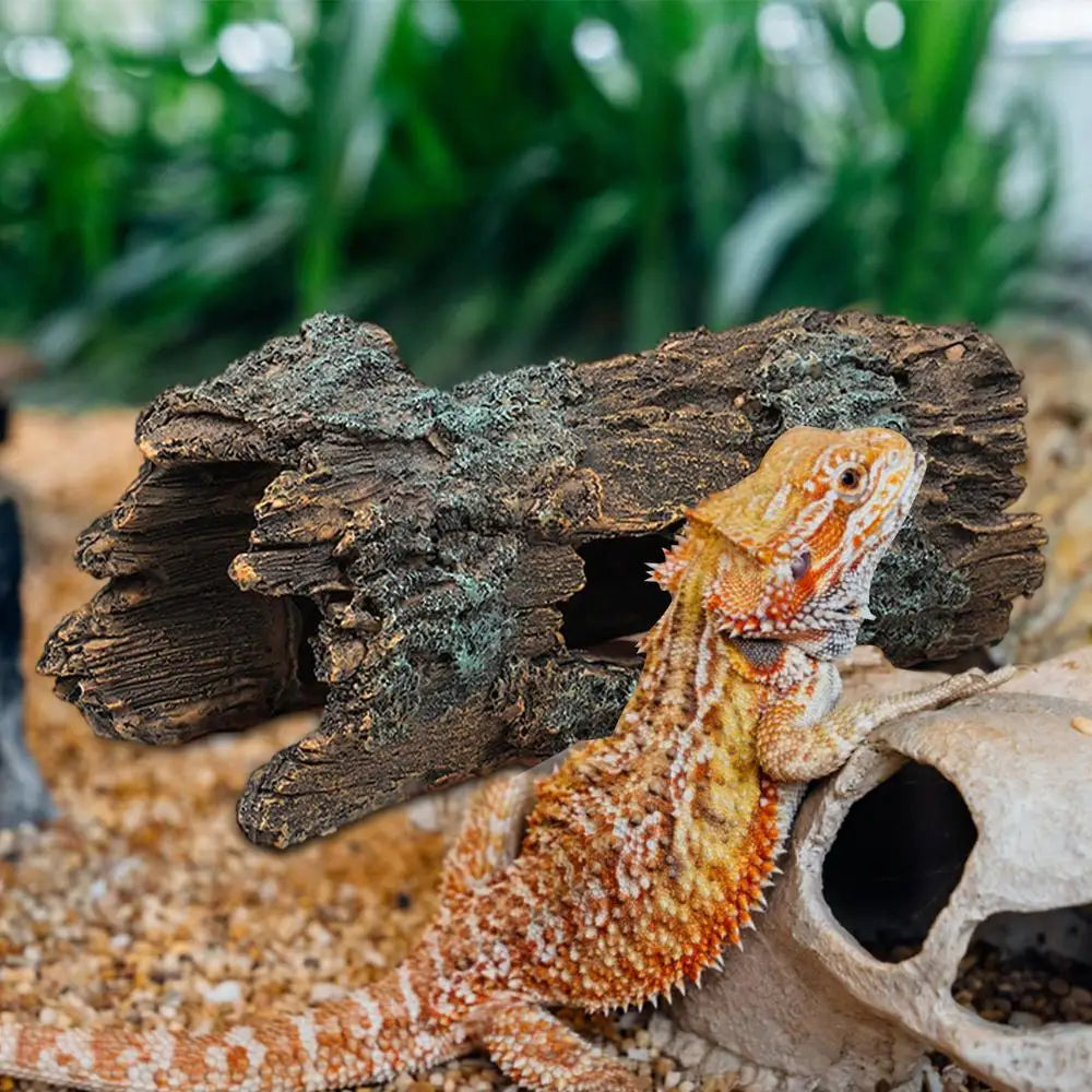 Lizard Caves And Hideouts, Turtle Reptile Hide Cave