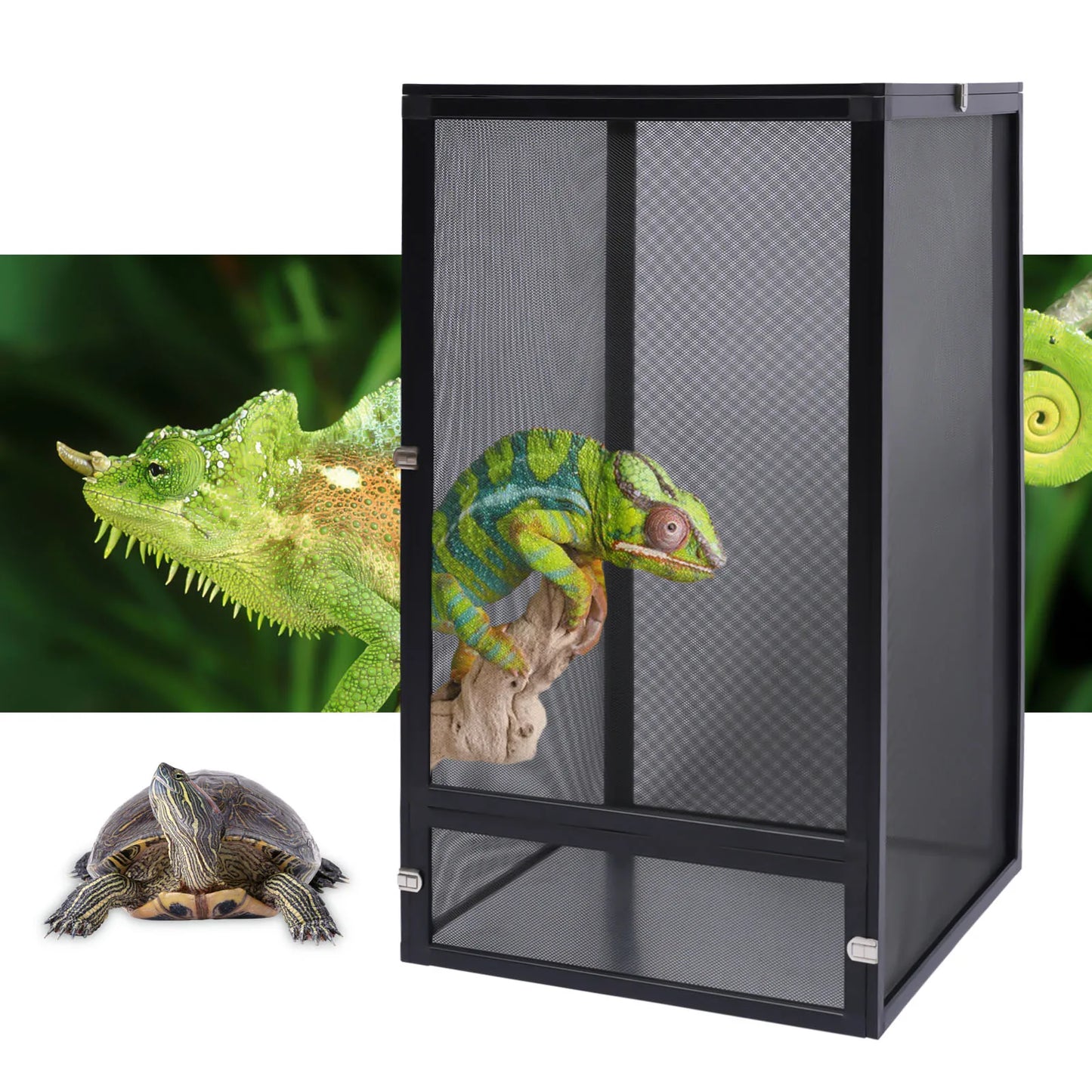 Amphibian Breeding Box Reptile Feeding tank