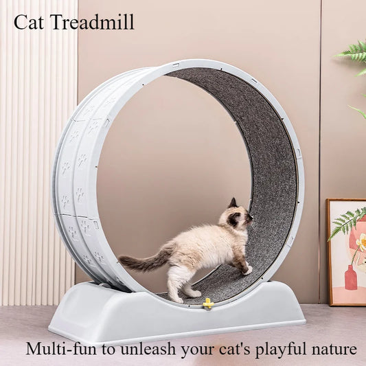 Treadmill for cats