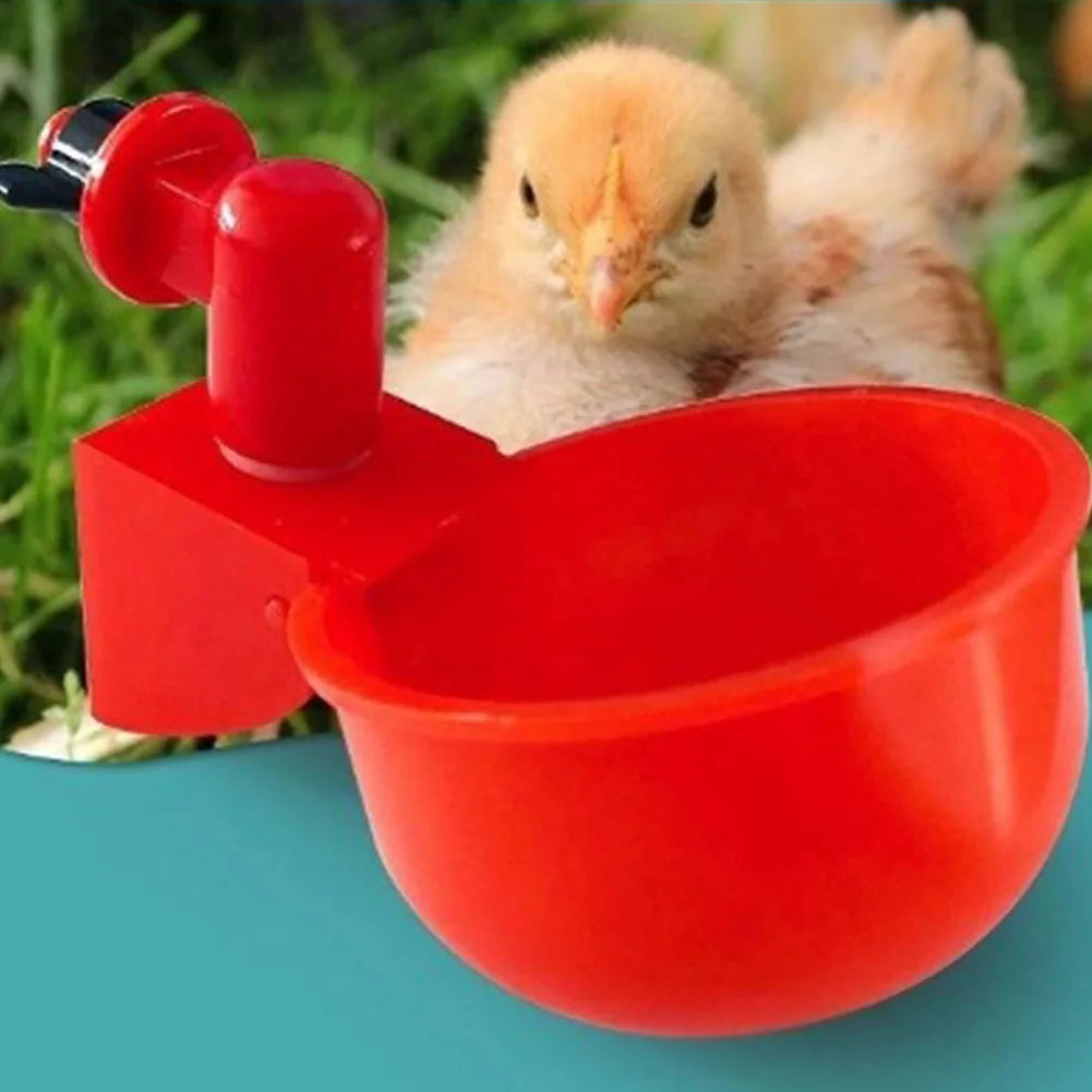 6-48pcs Chicken Drinking Cup, Automatic