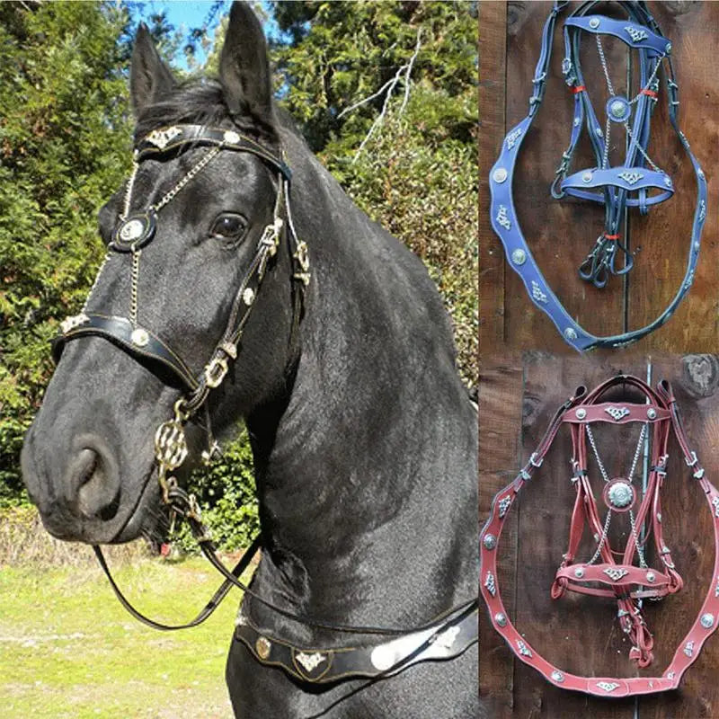 Riding Horse Bridle