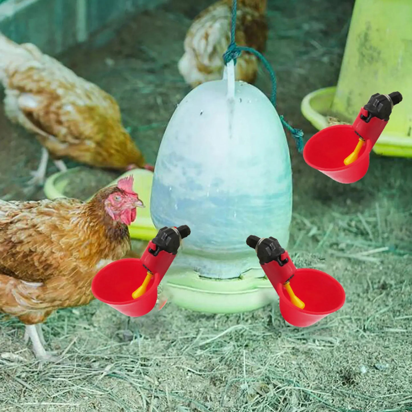 10-PCS Chicken Water Cups