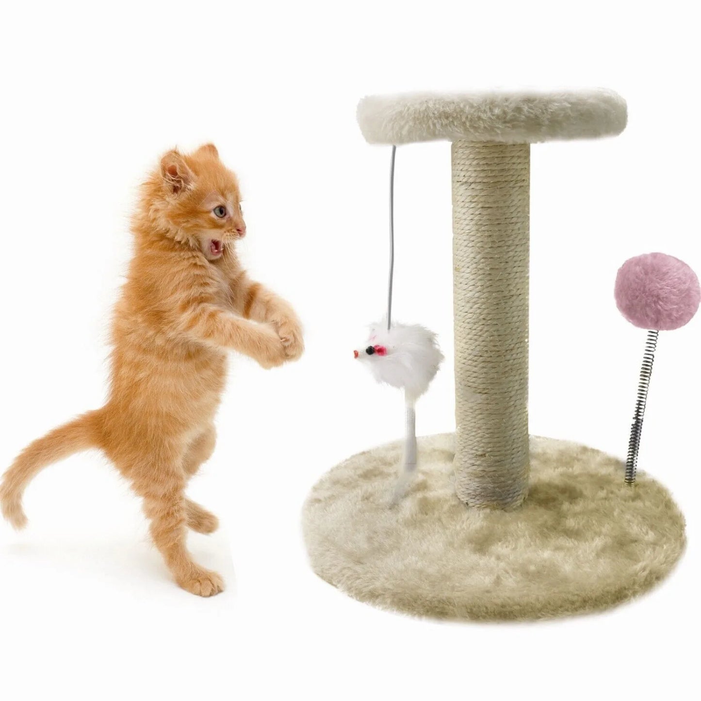 Furniture Pet Scratching Rest Toy