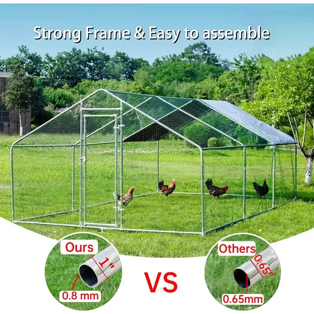 Walk-in Poultry Chicken Coops for 10 Chickens