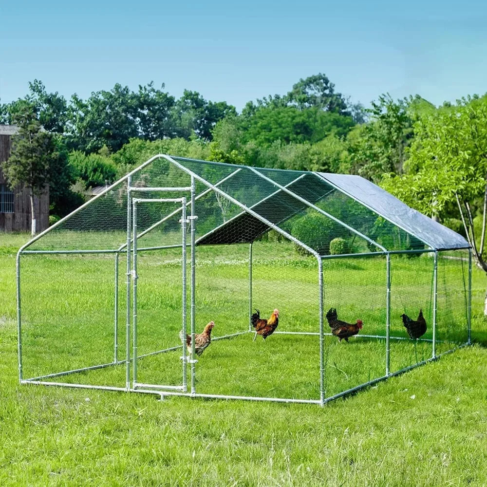 Walk-in Poultry Chicken Coops for 10 Chickens