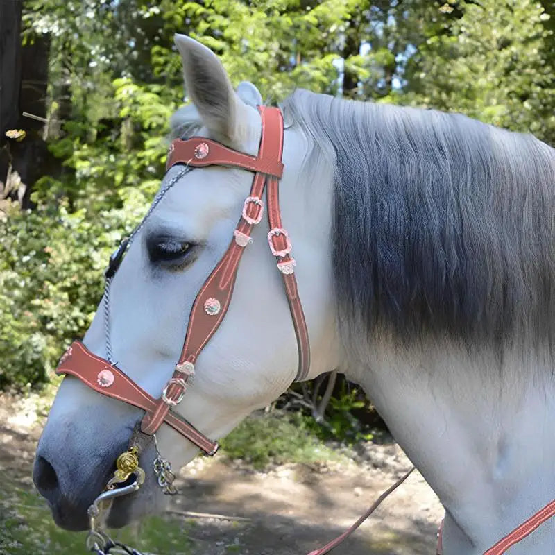 Riding Horse Bridle