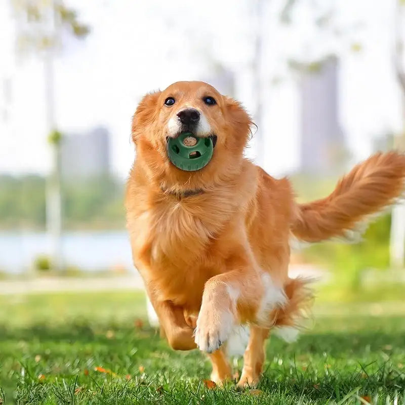 Pupsicles For Dogs