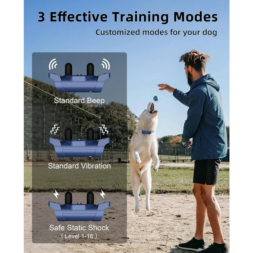 Electronic Training Collar with Remote