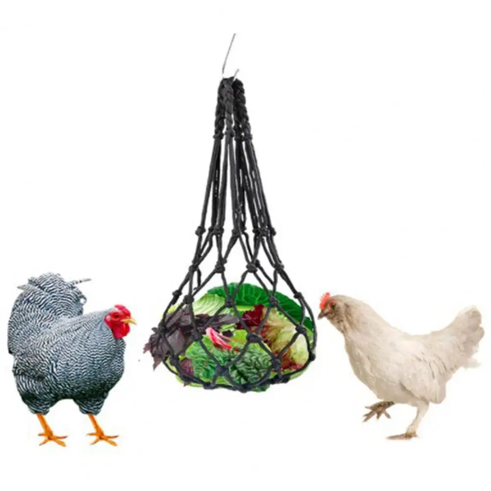 Chicken Activity Toy Hanging Feeder, Healthy Vegetable Feeding Tool