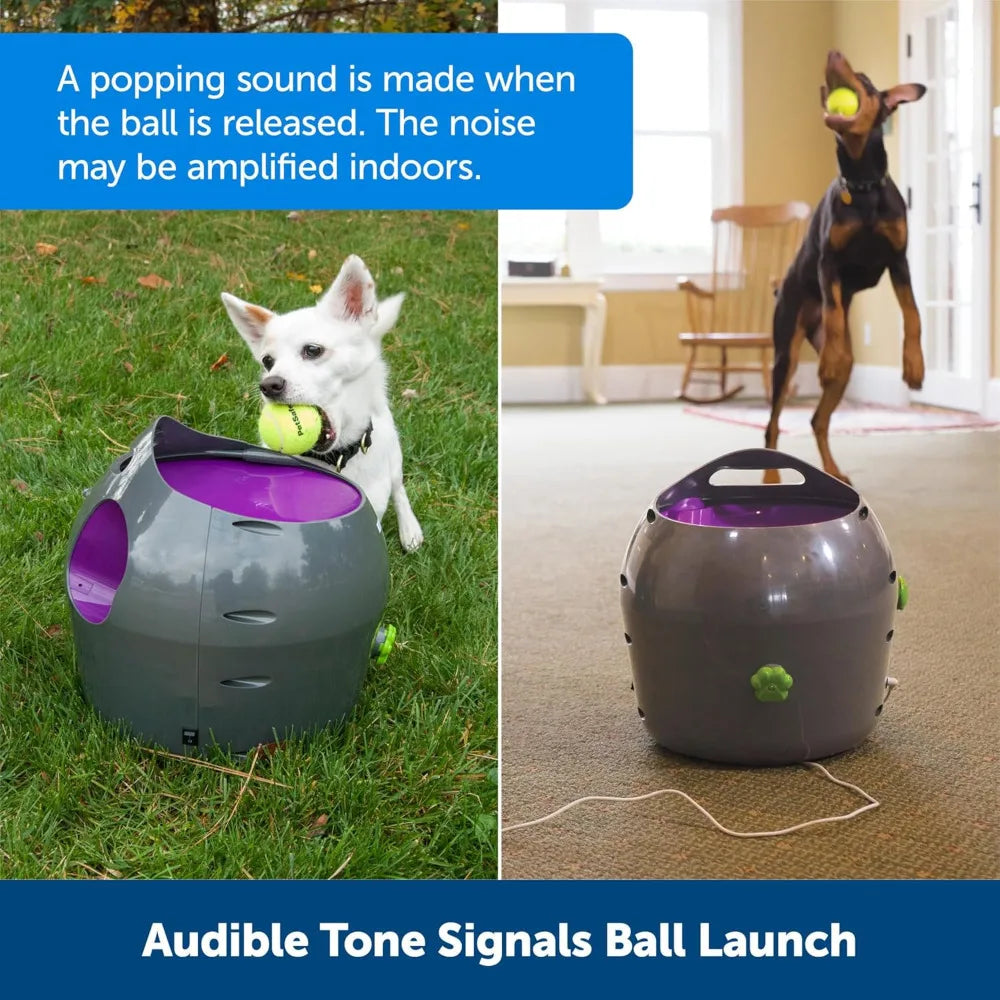 Automatic Ball Launcher Interactive Dog Toy