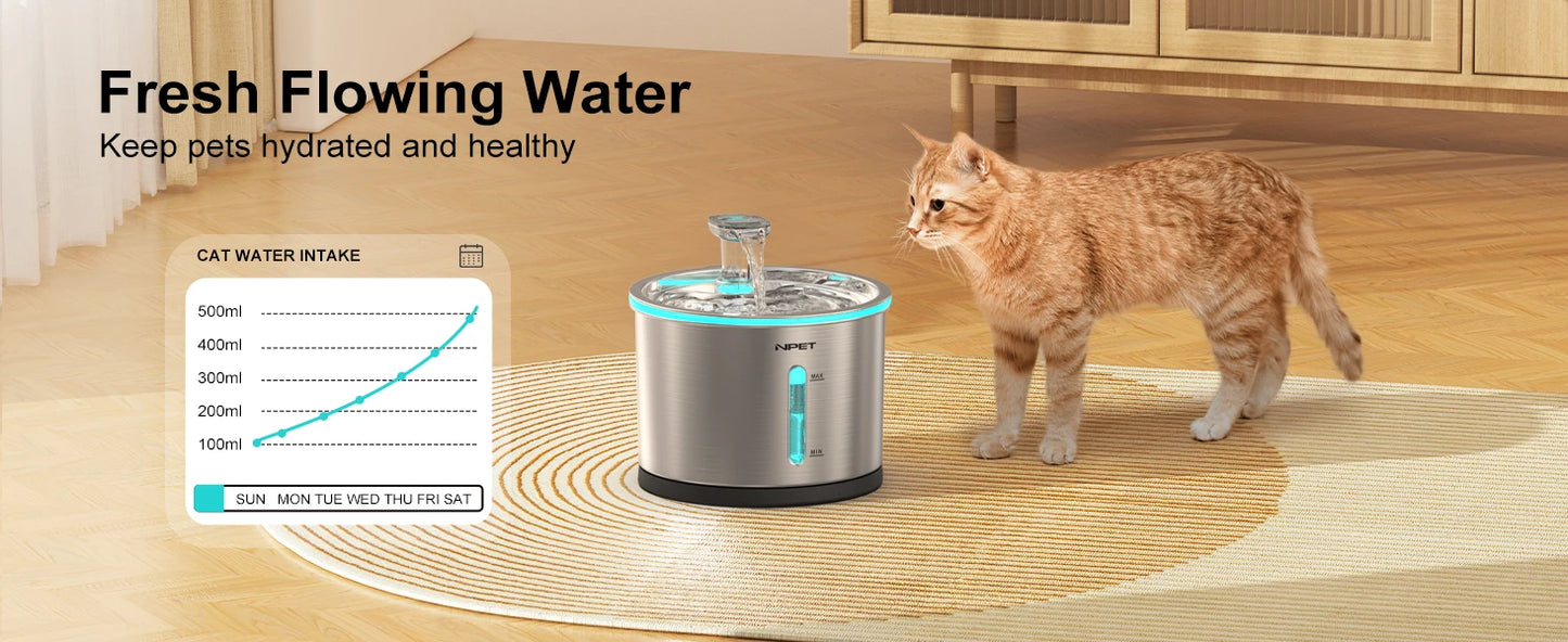 Pet Water Fountain with Visible Window Light for Cats