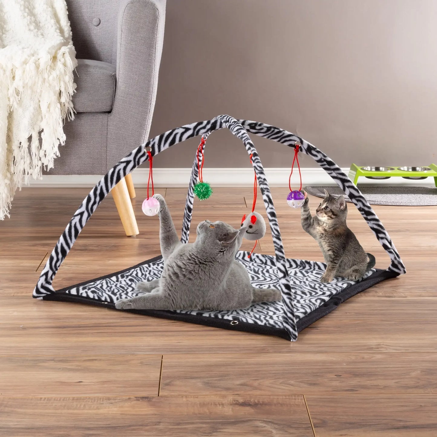 Cat Activity Center Interactive Play Area