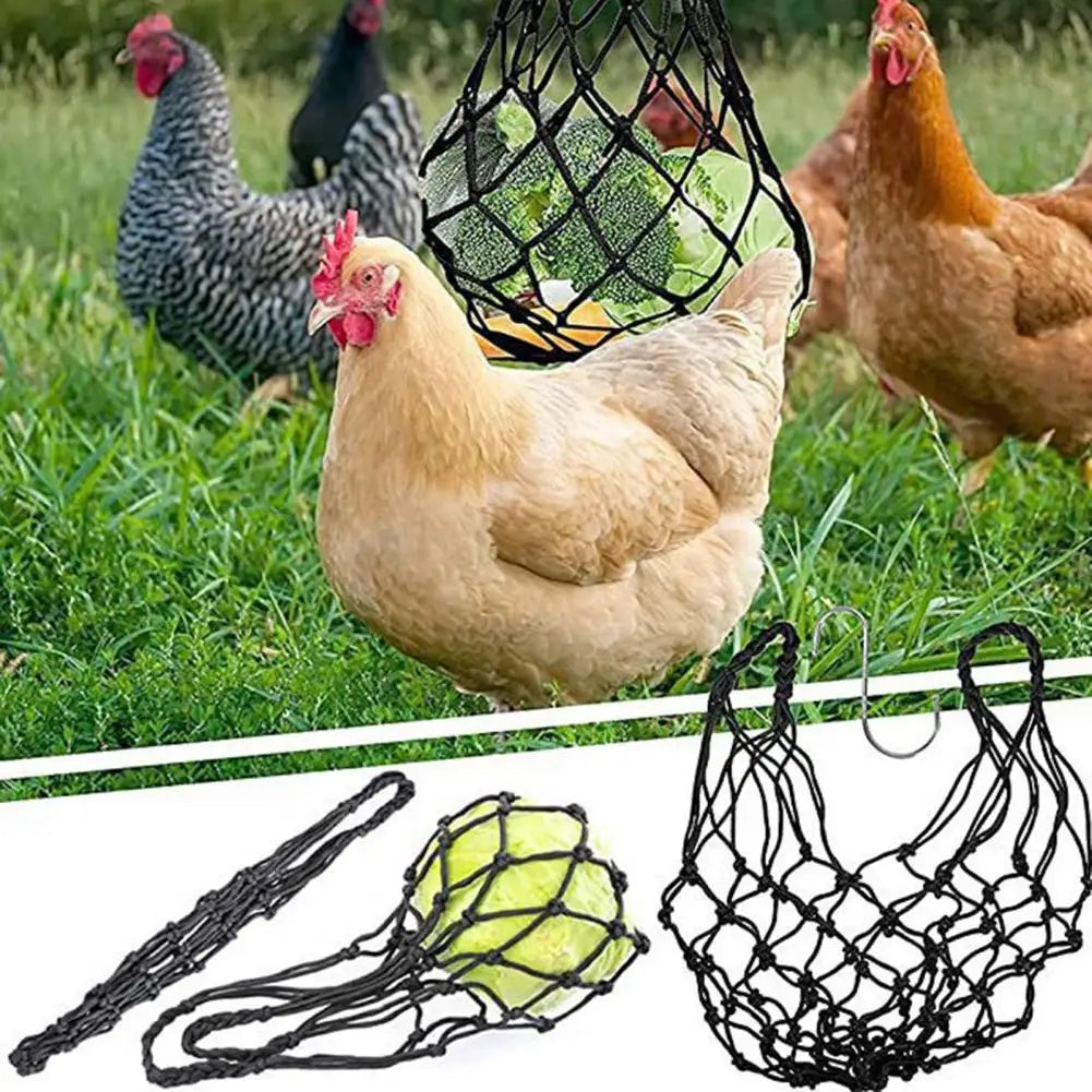 Chicken Activity Toy Hanging Feeder, Healthy Vegetable Feeding Tool