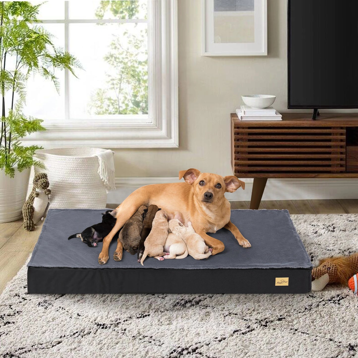 Orthopedic Dog Bed for Medium, Large Dogs