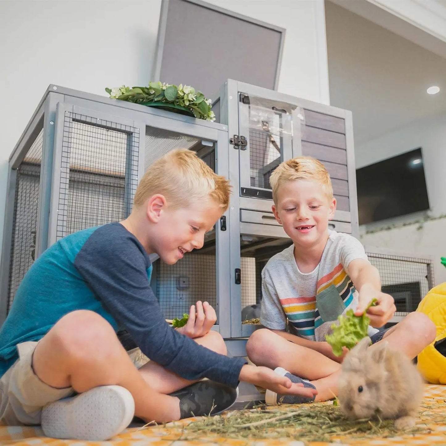 Wooden Bunny Hutch Indoor- Outdoor