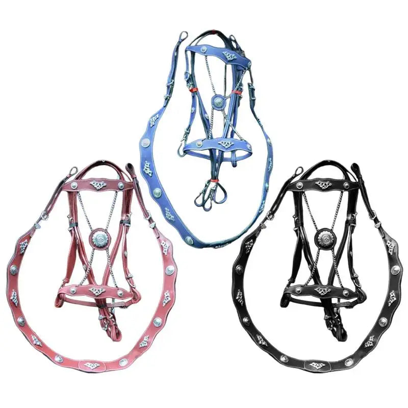 Riding Horse Bridle