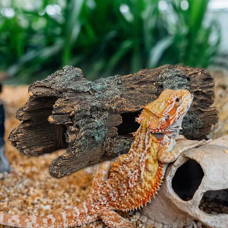 Lizard Caves And Hideouts, Turtle Reptile Hide Cave