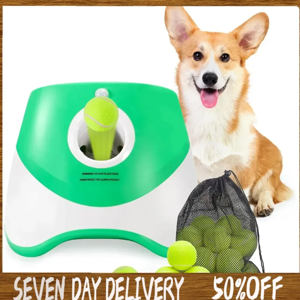 Automatic Dog Ball Launcher