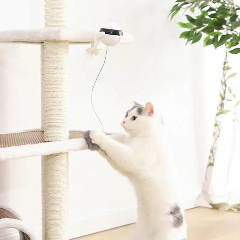 Automatic Lifting Cat Toy Ball