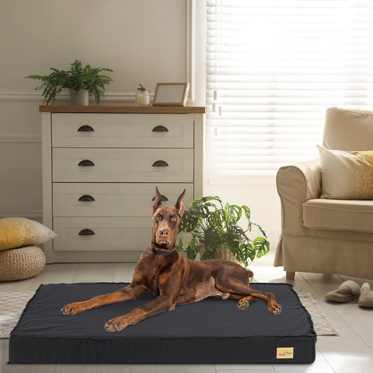 Orthopedic Dog Bed for Medium, Large Dogs