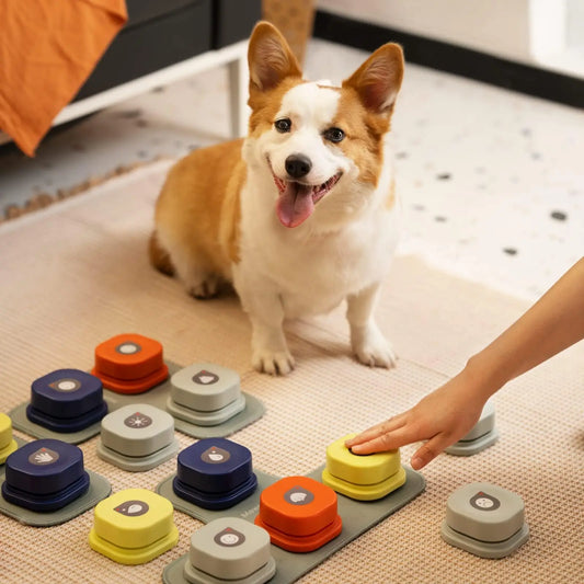 Dog Button Record Talking Pet Communication Vocal Training