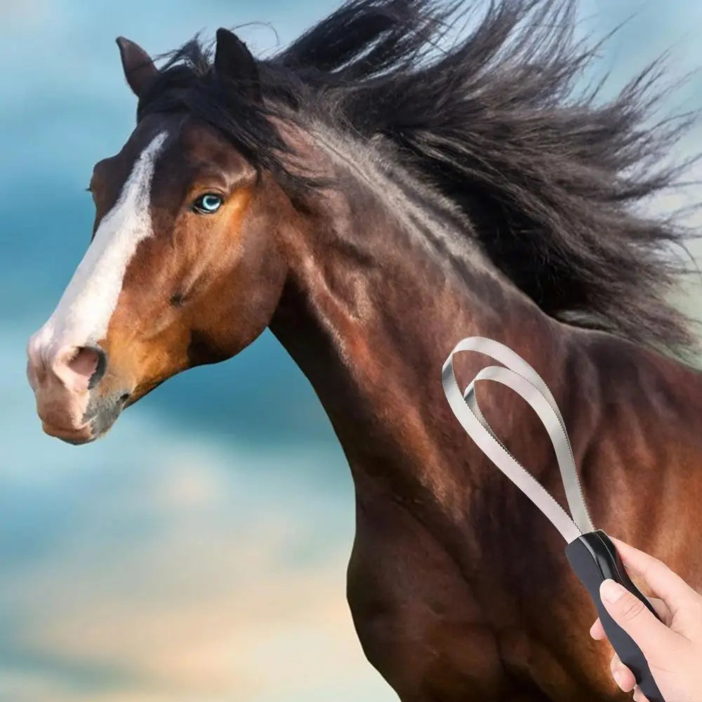 Equine Sweat Scraper Horse Shedding Grooming Tool