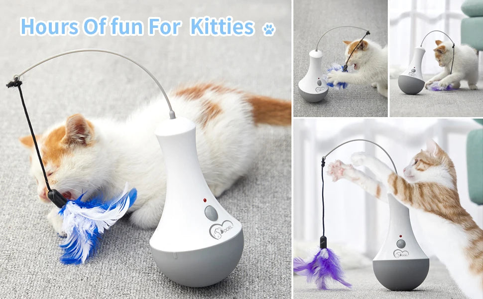 Funny Feather Kitten Teaser