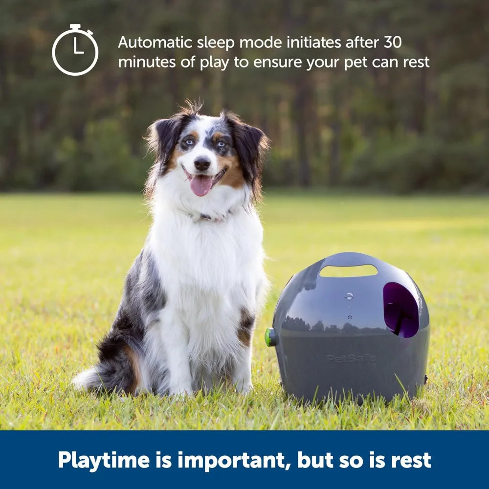 Automatic Ball Launcher Interactive Dog Toy